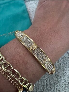 NWT RARE Kurt Geiger Gold Hinged Bangle Rhinestones Bracelet w/ Dusty GORGEOUS⭐️